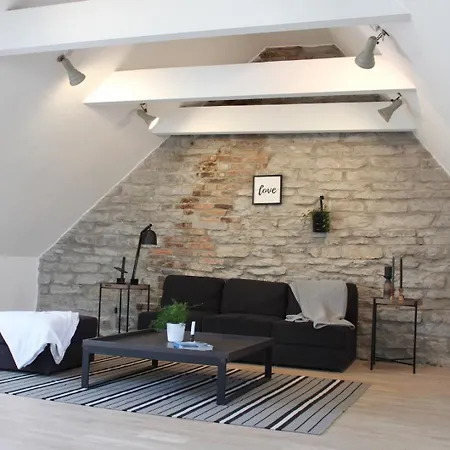 Cozy Penthouse In Town Wall Apartment